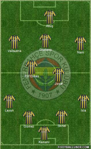 Fenerbahçe SK Formation 2017