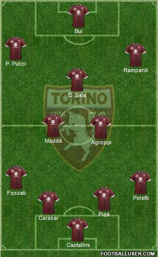 Torino Formation 2017