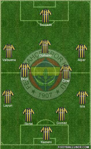 Fenerbahçe SK Formation 2017