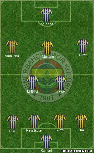 Fenerbahçe SK Formation 2017