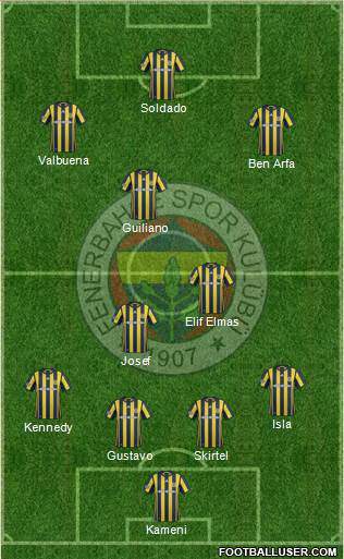 Fenerbahçe SK Formation 2017