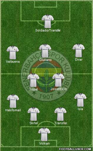 Fenerbahçe SK Formation 2017