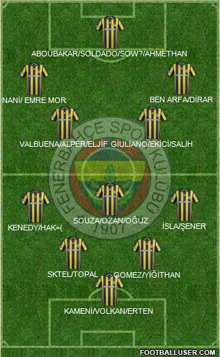 Fenerbahçe SK Formation 2017