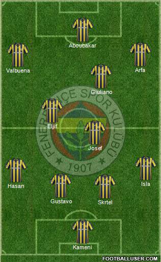Fenerbahçe SK Formation 2017