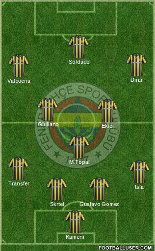 Fenerbahçe SK Formation 2017