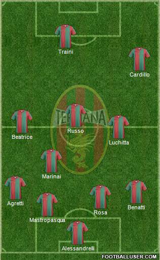 Ternana Formation 2017