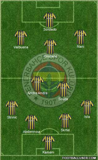Fenerbahçe SK Formation 2017