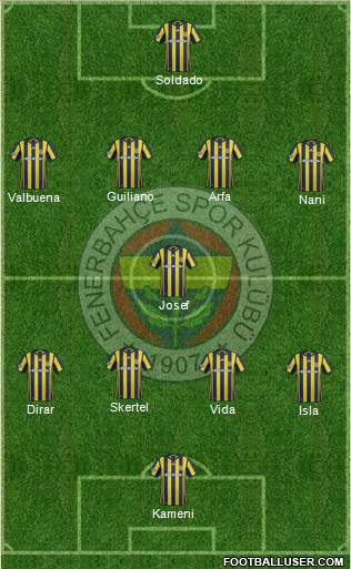 Fenerbahçe SK Formation 2017
