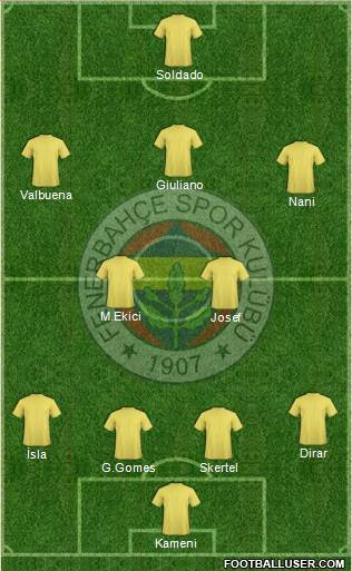 Fenerbahçe SK Formation 2017