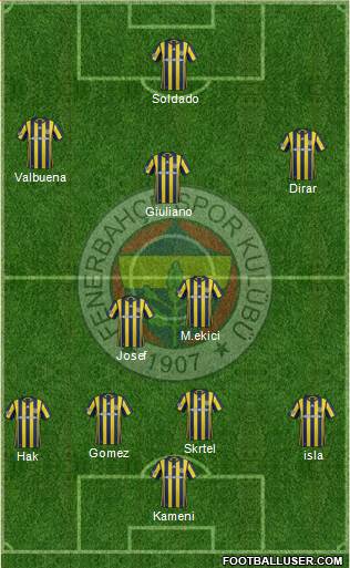 Fenerbahçe SK Formation 2017