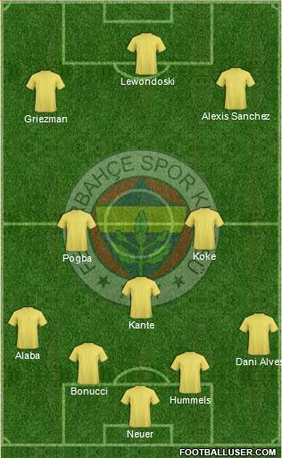 Fenerbahçe SK Formation 2017