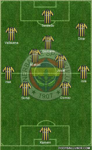 Fenerbahçe SK Formation 2017
