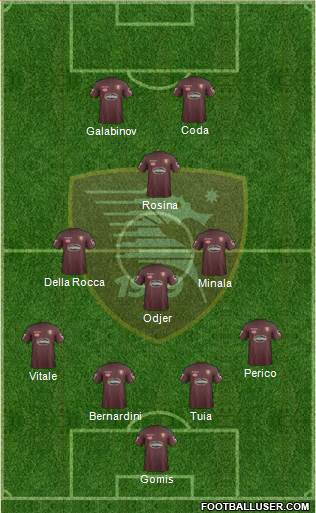 Salernitana Formation 2017