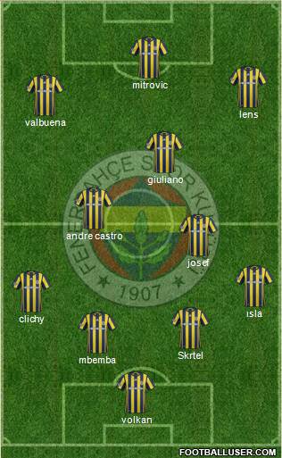 Fenerbahçe SK Formation 2017