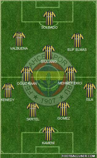 Fenerbahçe SK Formation 2017