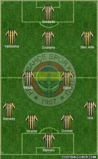 Fenerbahçe SK Formation 2017