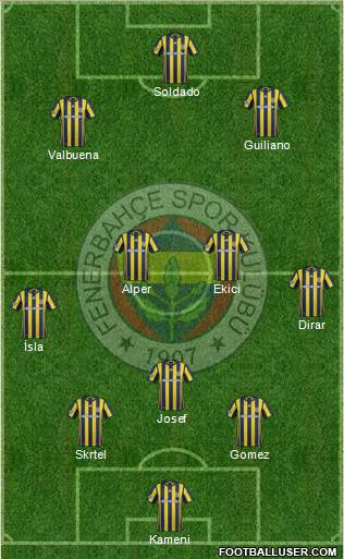 Fenerbahçe SK Formation 2017