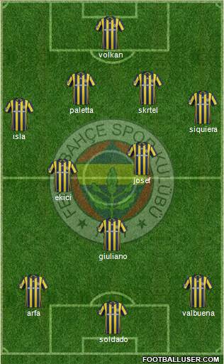 Fenerbahçe SK Formation 2017