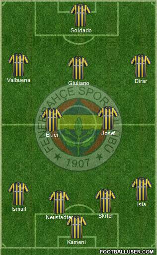 Fenerbahçe SK Formation 2017