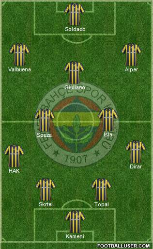 Fenerbahçe SK Formation 2017
