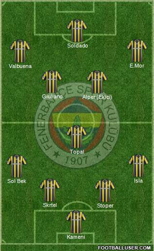 Fenerbahçe SK Formation 2017