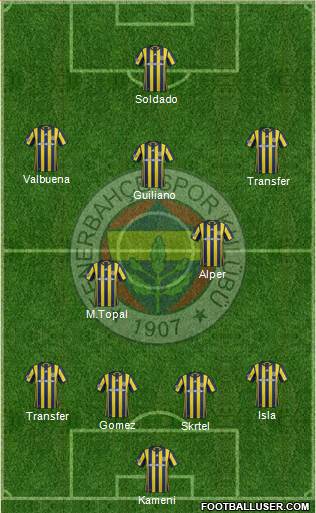 Fenerbahçe SK Formation 2017