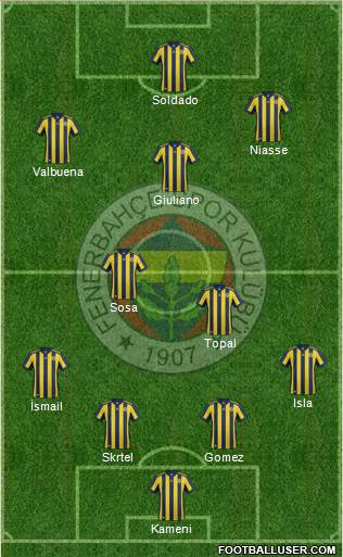 Fenerbahçe SK Formation 2017