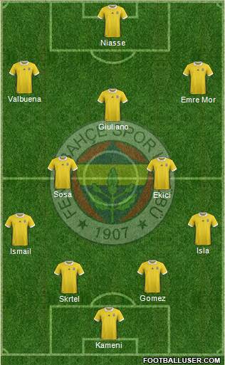 Fenerbahçe SK Formation 2017