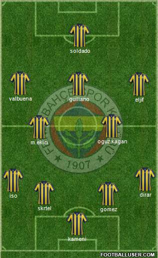 Fenerbahçe SK Formation 2017