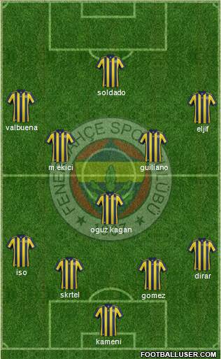 Fenerbahçe SK Formation 2017