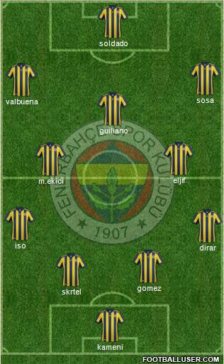 Fenerbahçe SK Formation 2017