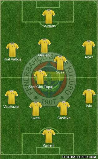 Fenerbahçe SK Formation 2017