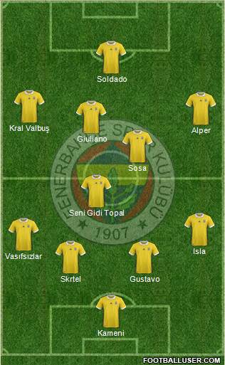 Fenerbahçe SK Formation 2017