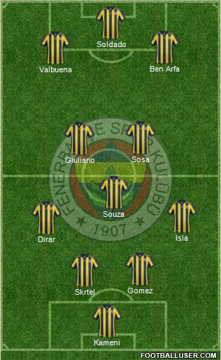 Fenerbahçe SK Formation 2017