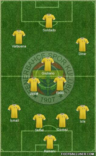 Fenerbahçe SK Formation 2017