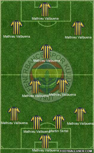 Fenerbahçe SK Formation 2017