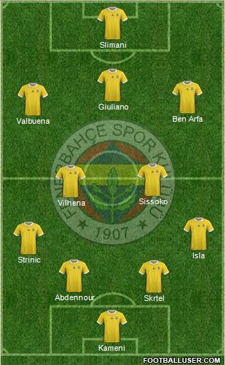 Fenerbahçe SK Formation 2017