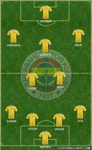 Fenerbahçe SK Formation 2017