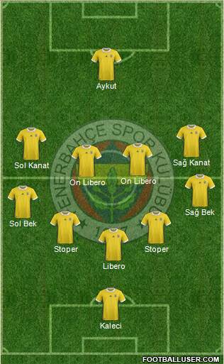 Fenerbahçe SK Formation 2017