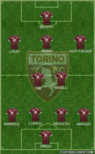 Torino Formation 2017