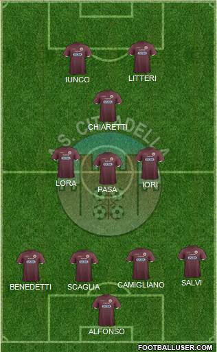 Cittadella Formation 2017
