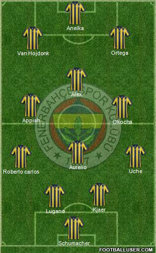 Fenerbahçe SK Formation 2017