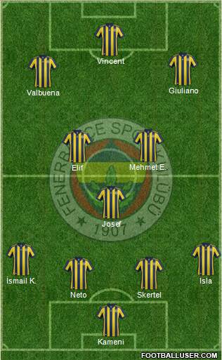 Fenerbahçe SK Formation 2017