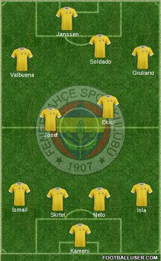 Fenerbahçe SK Formation 2017