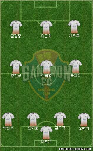 Gangwon FC Formation 2017