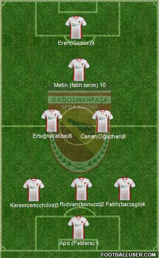Gaziosmanpasa Formation 2017