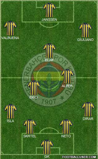 Fenerbahçe SK Formation 2017