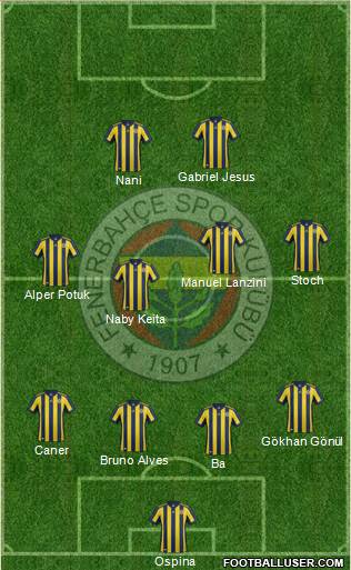 Fenerbahçe SK Formation 2017