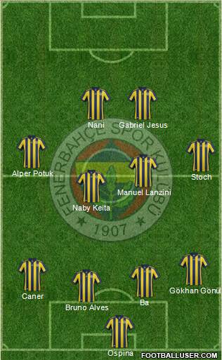 Fenerbahçe SK Formation 2017