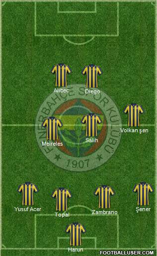 Fenerbahçe SK Formation 2017